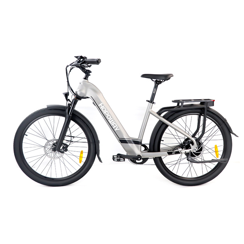 HZ038-Cheetah-City-Rear-Lady